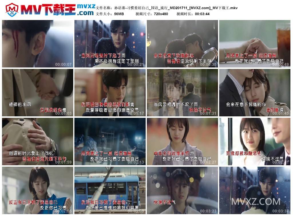 孙语赛-习惯委屈自己_国语_流行_MD201711